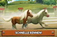 Mein kleines Pony! Pferdespiel Screen Shot 1