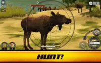Wild Hunt: हंटिंग गेम 3D Screen Shot 11
