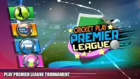 Cricket Play Premier League Screen Shot 1