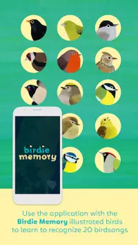 Birdie Memory Screen Shot 0