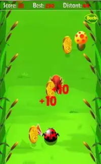 Super Lady bird game Screen Shot 1