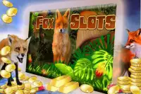 Fox Slots Screen Shot 0