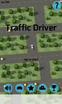 Traffic Driver Screen Shot 0