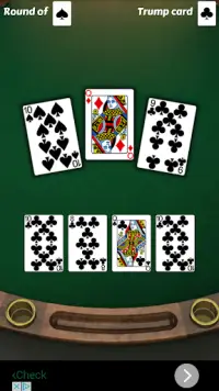 29 Card Game Challenge Screen Shot 0