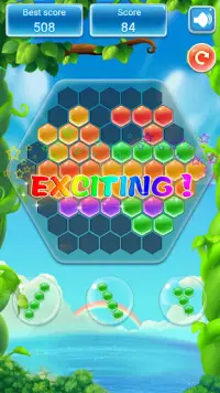 Hexagon Block Puzzle - Hex Match & Magic Tiles Screen Shot 4