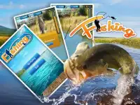 pesca ao ar livre Screen Shot 2