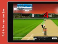 Cricket World Cup Mini Screen Shot 14