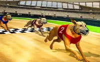 Dog real Racing  Derby Tournament: Dog Race Game Screen Shot 3