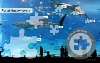 Jigsaw Puzzles: Sharks Screen Shot 1