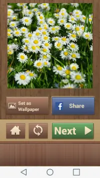 Natur Puzzle Spiele Screen Shot 6