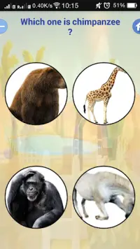 ABC Flashcards for Kids Screen Shot 9