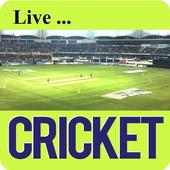 Cricket TV & IPL T20  2017