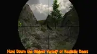 Deer Hunting Deluxe Игры для дикой природы Safari Screen Shot 2