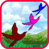 Bird Games Free