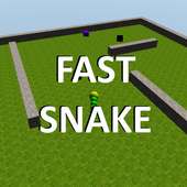 Fast Snake