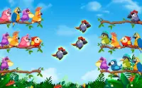 Bird Sort: Color Puzzle Game Screen Shot 8
