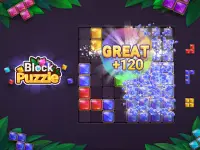 Block Puzzle: Jewel Blast Game Screen Shot 14