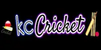 dream11 ipl fantasy cricket & Kc Dream11 team news Screen Shot 2