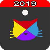 Switch Cat Color 2019 !