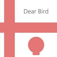 Dear Bird