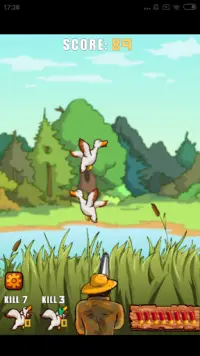 Duck Killer Screen Shot 3