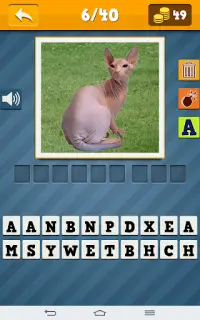 Cats Quiz Screen Shot 1