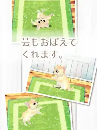 癒しの子犬育成ゲーム〜チワワ編〜 Screen Shot 12