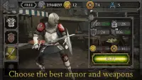 Knights Fight: Medieval Arena Screen Shot 3