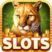 Cats Slots Vegas Casino Pokies