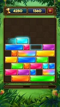 Slide N Drop - Falling Jewel Block Puzzle Screen Shot 0