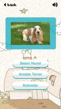 Puppy Dogs Quiz- Guess Popular Breeds Screen Shot 2