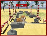 Cat Dog Pets Beach Stunts Sim Screen Shot 13