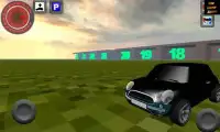 Crazy Racer Screen Shot 1