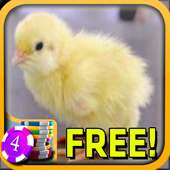 3D Baby Chick Slots - Free