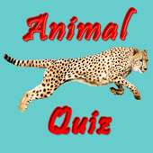 Animal Quiz