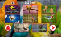 Puzzles Birds Screen Shot 3