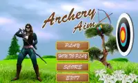 Archery Aim Screen Shot 0