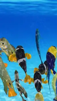 Happy Fish 3D Screen Shot 0
