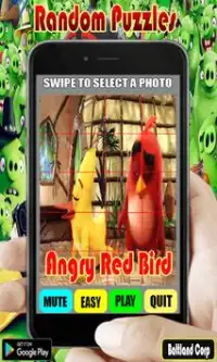 Random Angry Red Bird Puzzles Screen Shot 5