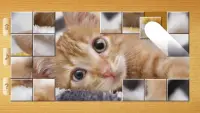 Cat Puzzles - Drag & Swap Screen Shot 0