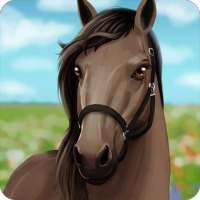HorseHotel - care for horses