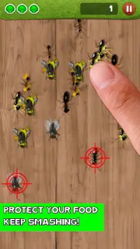 Ant Smasher by Best Cool & Fun Games Screen Shot 2