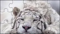 Biały Tygrys Puzzle Gry Screen Shot 1