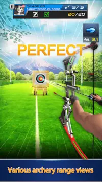 Archery Tournament Screen Shot 0