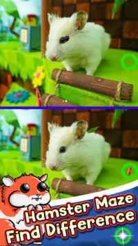 Hamster Maze Find The Differences Screen Shot 1