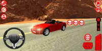 S2000 Simulator Car Games Screen Shot 1