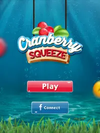 Cranberry Squeeze Screen Shot 9