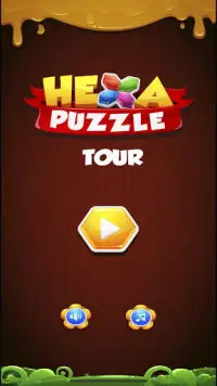 Hexa Block Puzzle Challenge Screen Shot 0