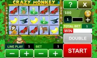 Crazy Monkey slot machine Screen Shot 4