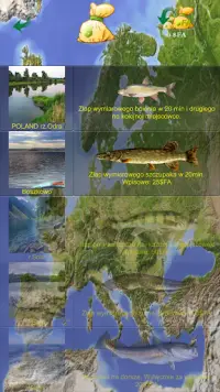 Fishing Asp 3D Free Screen Shot 6